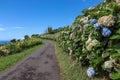 Flores, Azores - the green paradise in the Atlantic Ocean.