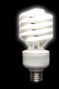 Florescent Bulb Royalty Free Stock Photo