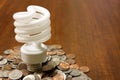 Florescent Light Bulb in Money Royalty Free Stock Photo