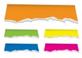 Florescent torn paper header Royalty Free Stock Photo