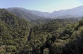 Floresta Atlantica Itatiaia National Park Royalty Free Stock Photo