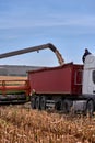 Floresti, Moldova. September 11, 2019: Green combine harvester machine unloading sorghum into a red trailer truck Royalty Free Stock Photo