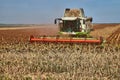 Floresti, Moldova. September 11, 2019: Green Harvesting working on a sorghum filed. Harvest season in raion of Floresti