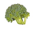 Floret of broccoli isolated against white Royalty Free Stock Photo
