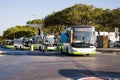 In the Floriana district, green public service buses departing