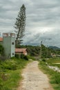 Small bowlder and sand path, a house and a typical pine tree on Royalty Free Stock Photo