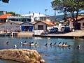 Florianopolis sea and houses Royalty Free Stock Photo