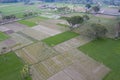 Floriculture in Bangladesh and landscape.