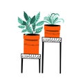 Floriculture. Set of flower pots on flower stands. Vector illustratio