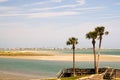 Florida bay and Palm trees Royalty Free Stock Photo