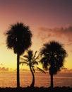 Florida Bay at sunrise Royalty Free Stock Photo