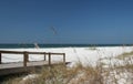 Florida Beach