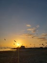 Florida birds gulf beach marsh wildlife preserve sunset Royalty Free Stock Photo