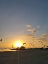 Florida birds gulf beach marsh wildlife preserve sunset Royalty Free Stock Photo