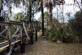 Florida Canopy Walkway