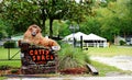 Florida catty shack ranch wildlife sanctuary Royalty Free Stock Photo