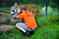 Florida catty shack wildlife ranch volunteer and tiger Royalty Free Stock Photo