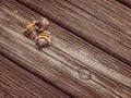 Florida Crown Conchs on a Weathered Dock Royalty Free Stock Photo