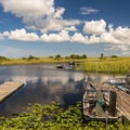 Florida Everglades airboat rides and alligators Royalty Free Stock Photo