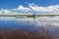 Florida Everglades airboat rides and alligators Royalty Free Stock Photo