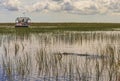 Florida Everglades airboat rides to see aligators Royalty Free Stock Photo