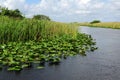 Florida Everglades landscape Royalty Free Stock Photo