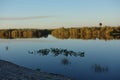 Florida Everglades Royalty Free Stock Photo