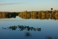 Florida Everglades Royalty Free Stock Photo