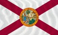 Florida Flag with sandy waves