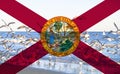 Florida Flag with gulls