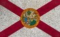 Florida Flag with shell background