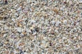 Florida Fort Myers beach sea shells sand US