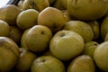 Large grapefruits in piles picked from trees close up Royalty Free Stock Photo