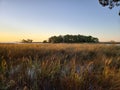 Florida gulf coast sunset fishing marsh wildlife preserve Royalty Free Stock Photo