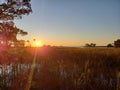 Florida gulf coast sunset fishing marsh wildlife preserve Royalty Free Stock Photo