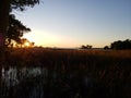 Florida gulf coast sunset fishing marsh wildlife preserve Royalty Free Stock Photo