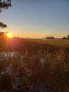 Florida gulf coast sunset fishing marsh wildlife preserve Royalty Free Stock Photo