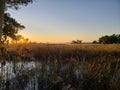 Florida gulf coast sunset fishing marsh wildlife preserve Royalty Free Stock Photo