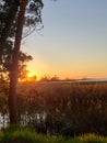 Florida gulf coast sunset fishing marsh wildlife preserve Royalty Free Stock Photo