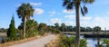 Florida hernando beach: tree