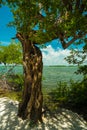 Florida Keys Royalty Free Stock Photo