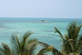 Florida Keys Ocean View Palms and Island Royalty Free Stock Photo