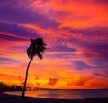 Florida Keys old bridge sunset at Bahia Honda Royalty Free Stock Photo