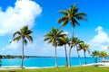 Florida Keys Palm trees in sunny day Florida US