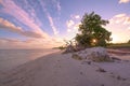 Florida Keys Pink Sunset Mangrove Tropical Ocean Landscape