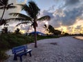 Sunrise on Florida beach with palm trees and park bench Royalty Free Stock Photo