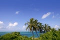 Florida Keys tropical palm trees turquoise sea Royalty Free Stock Photo