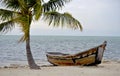 Florida Keys Tropical Scenic Royalty Free Stock Photo