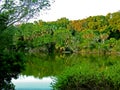 Florida landscape Royalty Free Stock Photo