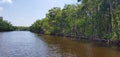 Florida mangroves airboat tour